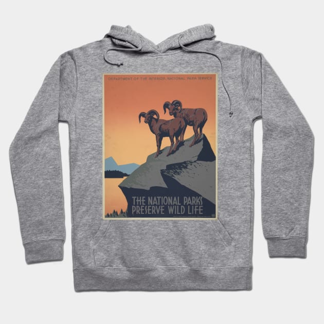 The National Parks Preserve Wild Life Hoodie by Scottish Arms Dealer